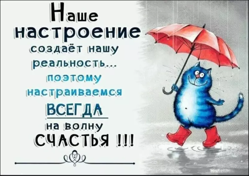 Позитивчик (фото, видео, рассказы для хорошего настроения)