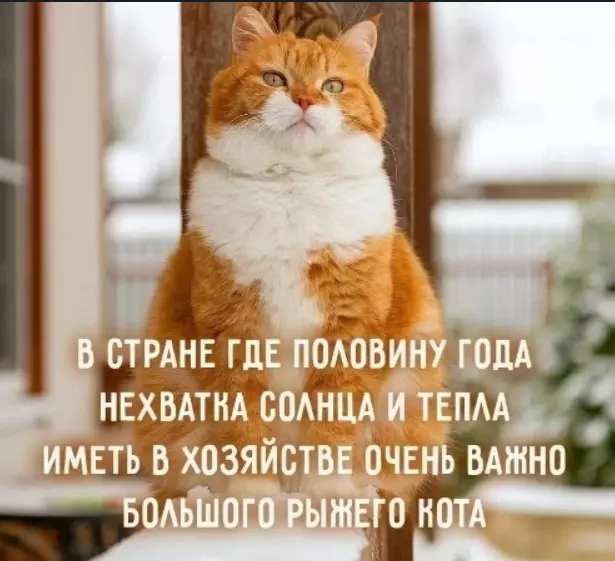 Позитивчик (фото, видео, рассказы для хорошего настроения)