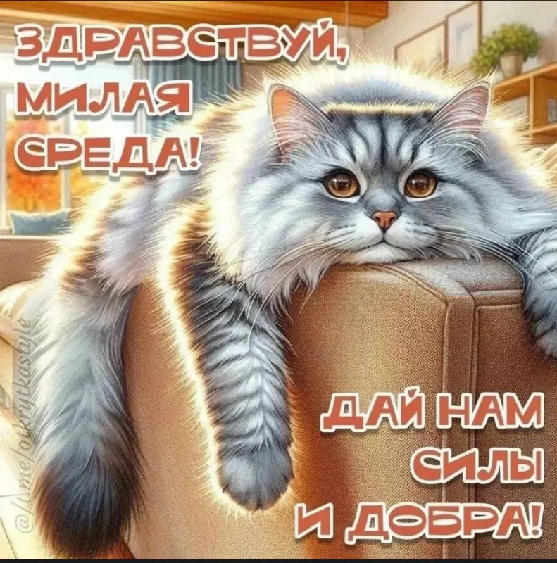 Позитивчик (фото, видео, рассказы для хорошего настроения)