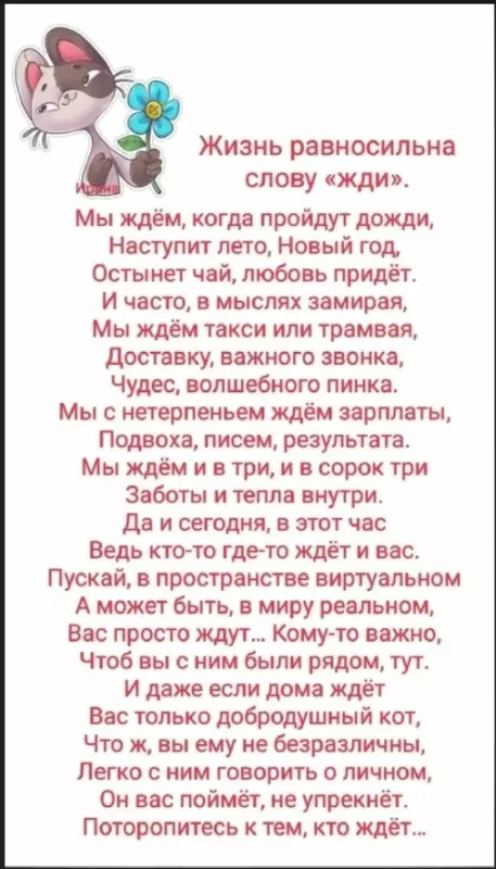 Позитивчик (фото, видео, рассказы для хорошего настроения)