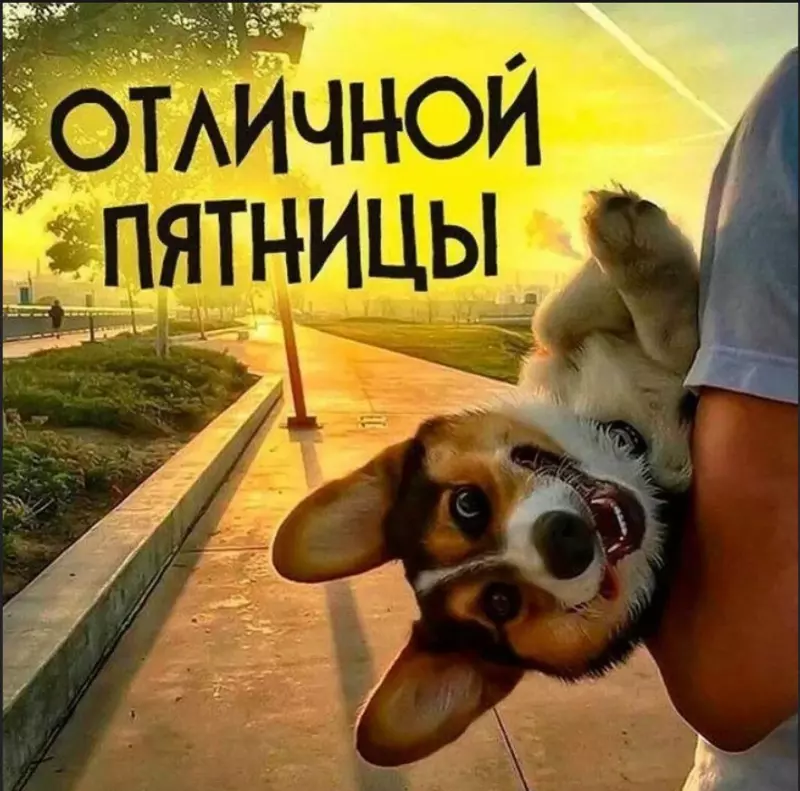 Позитивчик (фото, видео, рассказы для хорошего настроения)