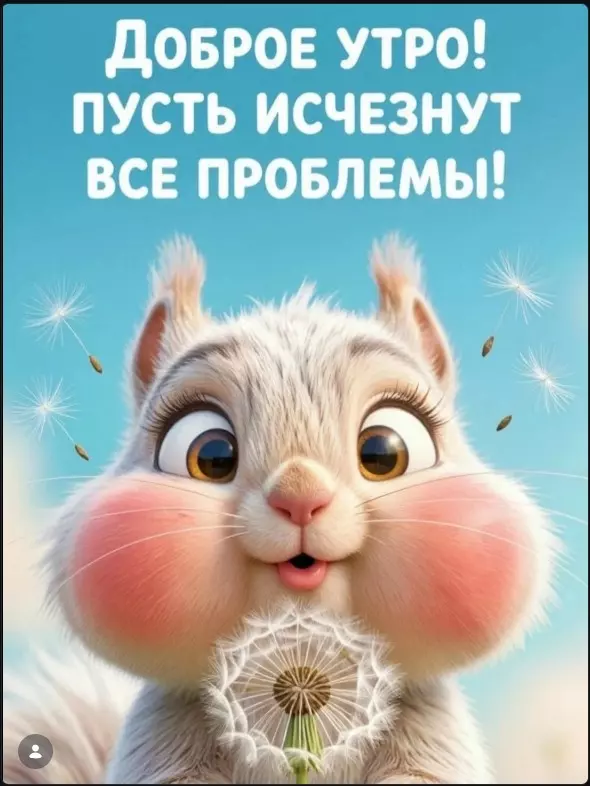 Позитивчик (фото, видео, рассказы для хорошего настроения)
