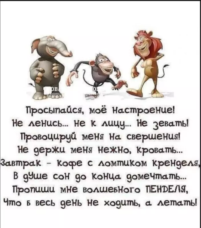 Позитивчик (фото, видео, рассказы для хорошего настроения)