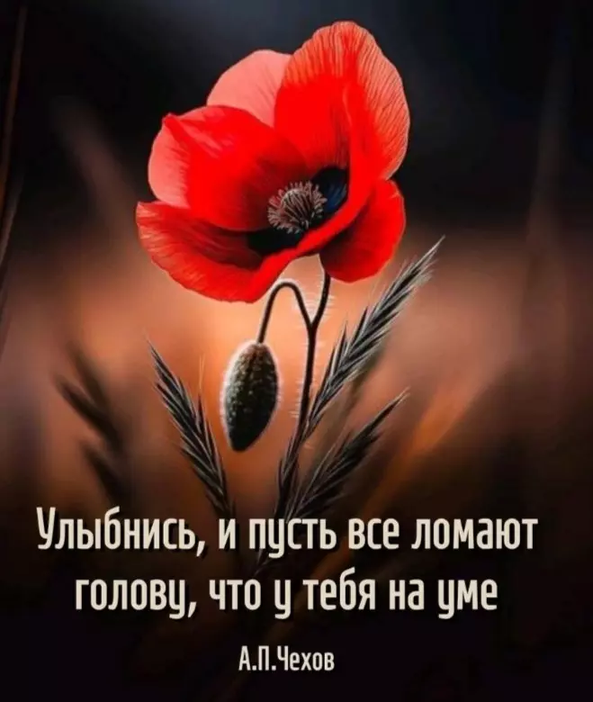 Позитивчик (фото, видео, рассказы для хорошего настроения)