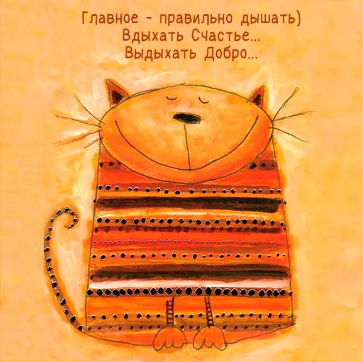 Позитивчик (фото, видео, рассказы для хорошего настроения)