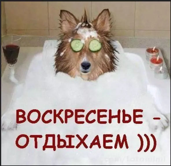 Позитивчик (фото, видео, рассказы для хорошего настроения)
