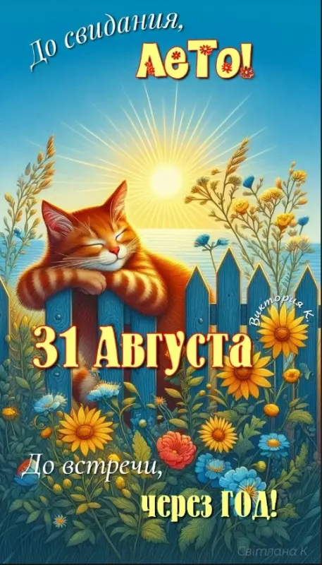 Позитивчик (фото, видео, рассказы для хорошего настроения)