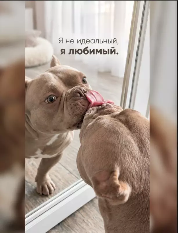 Позитивчик (фото, видео, рассказы для хорошего настроения)
