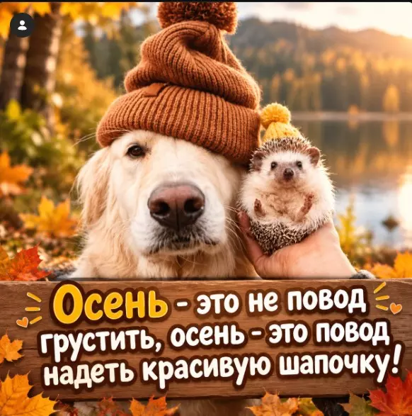 Позитивчик (фото, видео, рассказы для хорошего настроения)