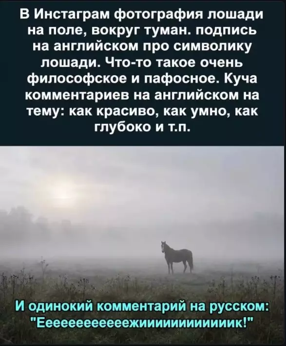 Позитивчик (фото, видео, рассказы для хорошего настроения)