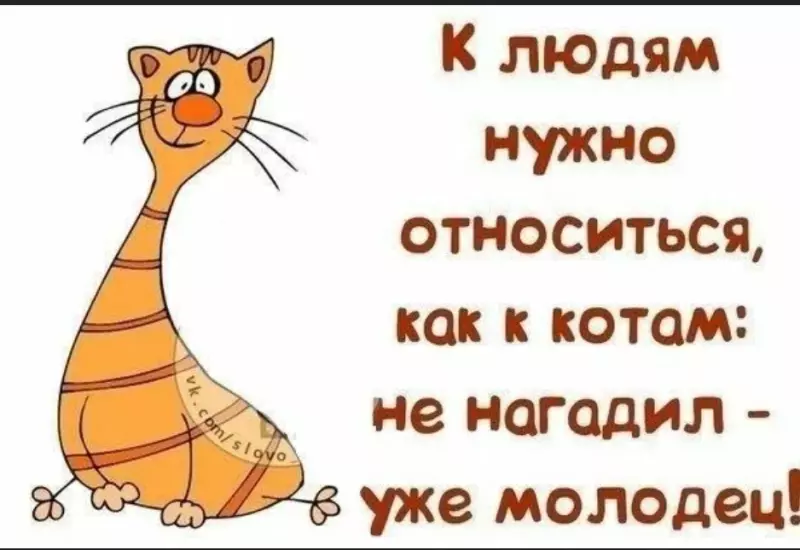 Позитивчик (фото, видео, рассказы для хорошего настроения)