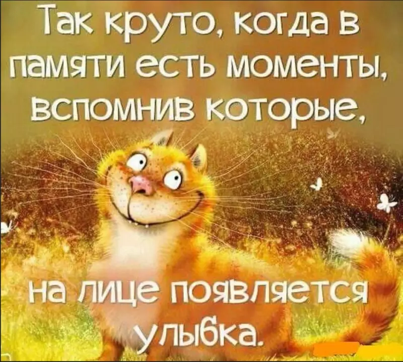 Позитивчик (фото, видео, рассказы для хорошего настроения)
