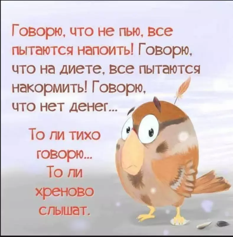 Позитивчик (фото, видео, рассказы для хорошего настроения)
