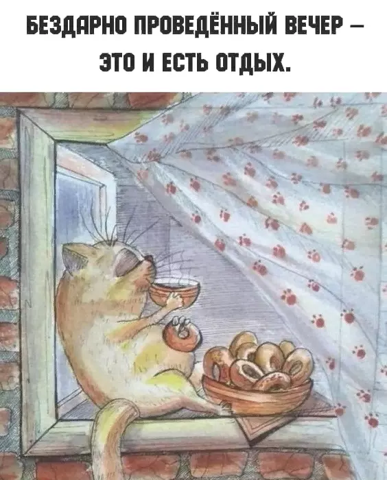 Позитивчик (фото, видео, рассказы для хорошего настроения)