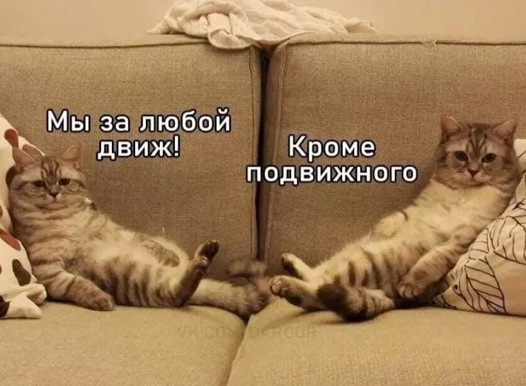 Позитивчик (фото, видео, рассказы для хорошего настроения)