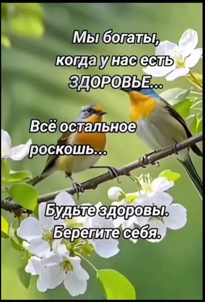 Позитивчик (фото, видео, рассказы для хорошего настроения)