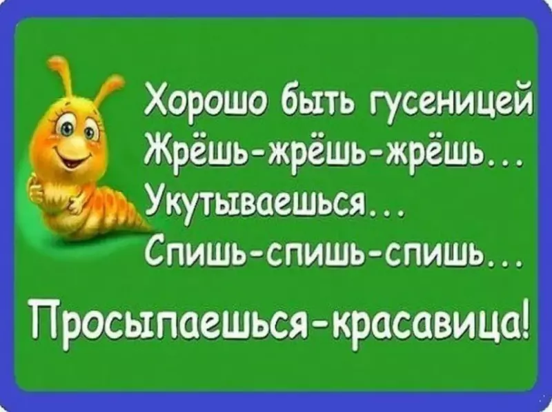 Позитивчик (фото, видео, рассказы для хорошего настроения)