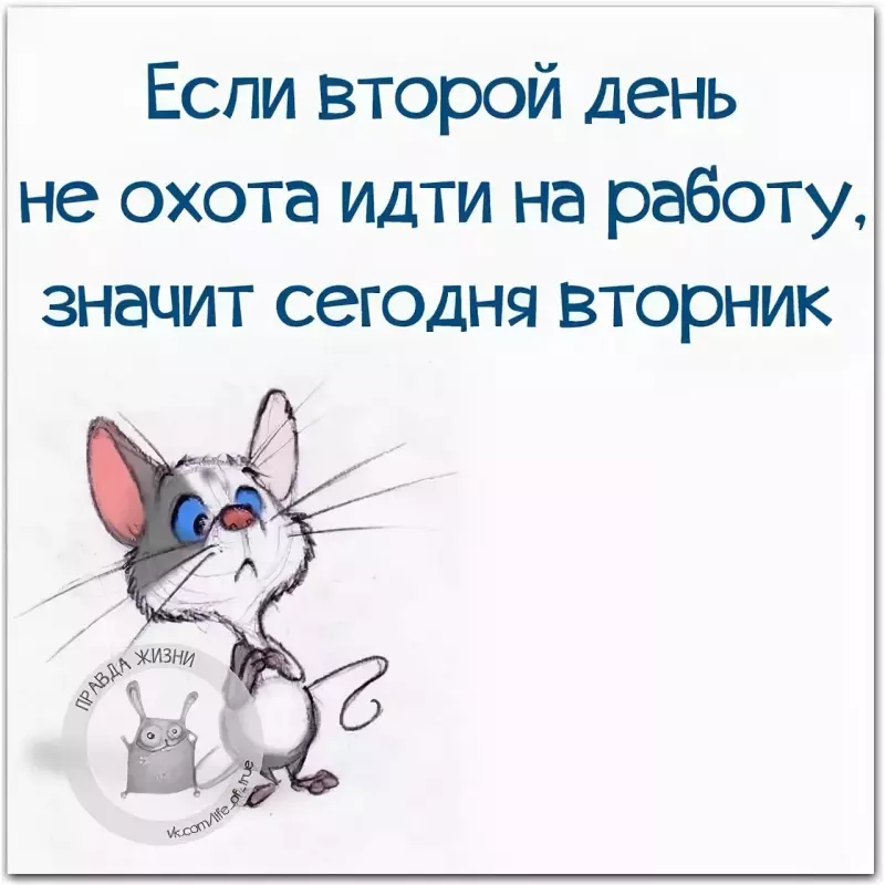 Позитивчик (фото, видео, рассказы для хорошего настроения)
