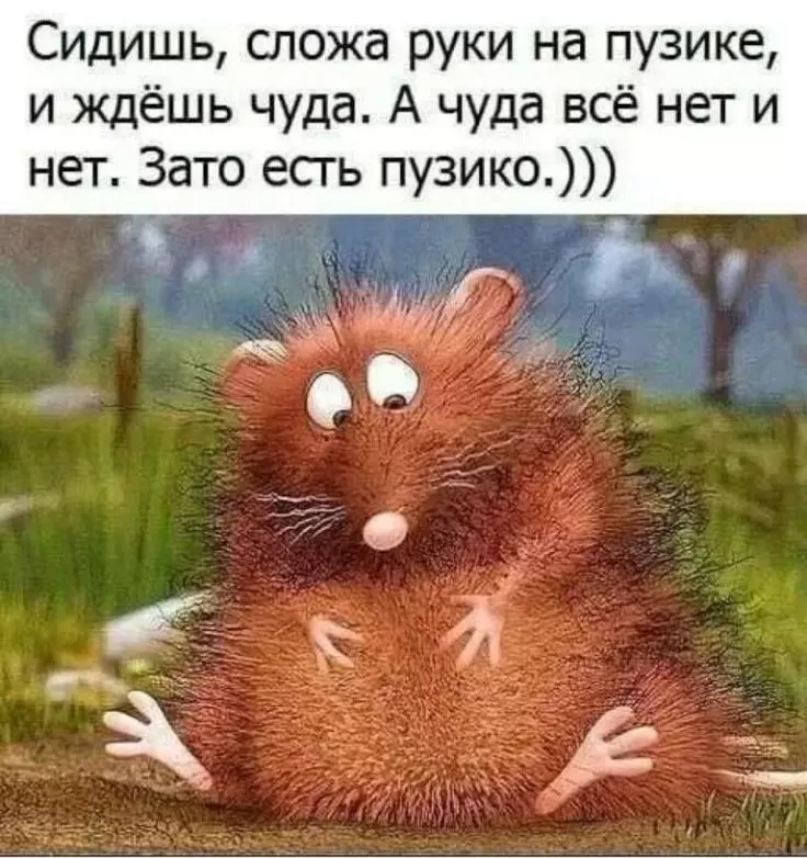 Позитивчик (фото, видео, рассказы для хорошего настроения)