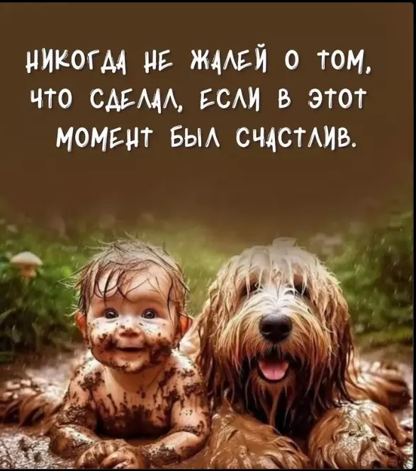 Позитивчик (фото, видео, рассказы для хорошего настроения)