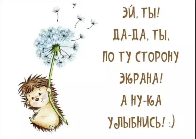 Позитивчик (фото, видео, рассказы для хорошего настроения)