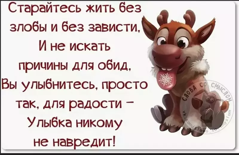 Позитивчик (фото, видео, рассказы для хорошего настроения)