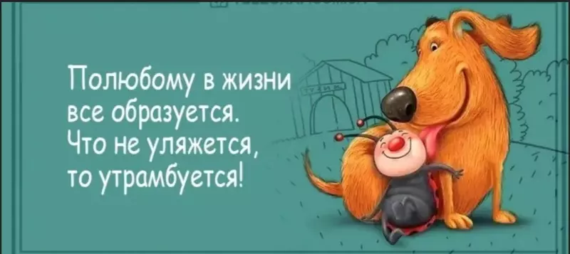Позитивчик (фото, видео, рассказы для хорошего настроения)