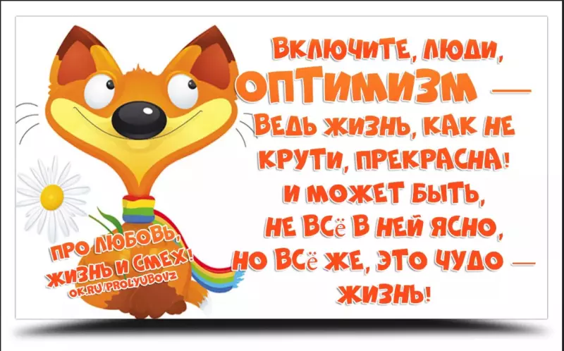 Позитивчик (фото, видео, рассказы для хорошего настроения)