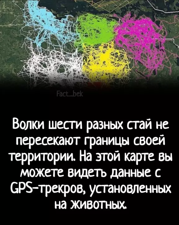 Это интересно!