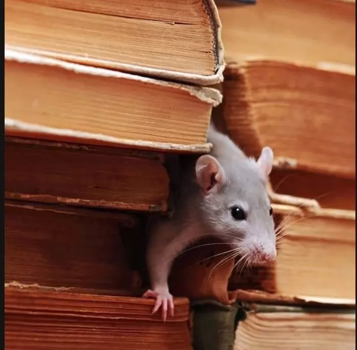 Это интересно!