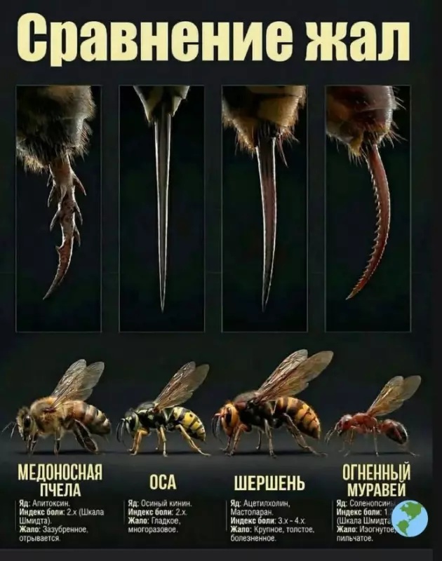 Это интересно!