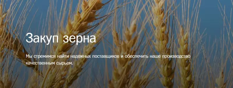 Муки выбора муки: пшеничная - какую брать в Москве?