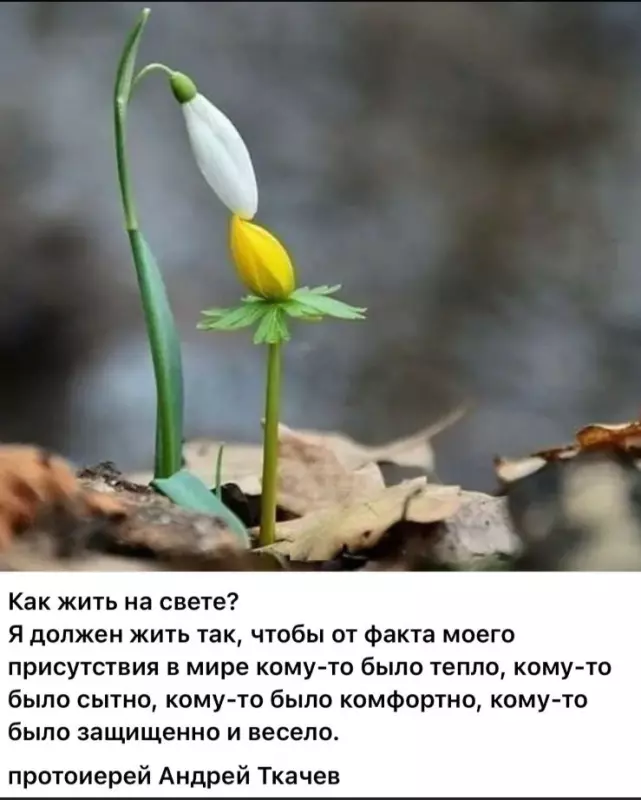 Лаконичная мудрость