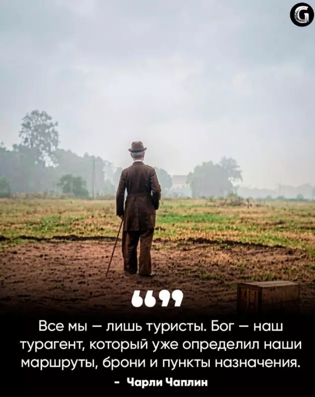 Лаконичная мудрость