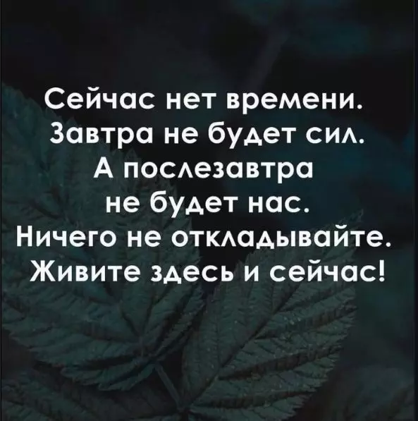 Лаконичная мудрость