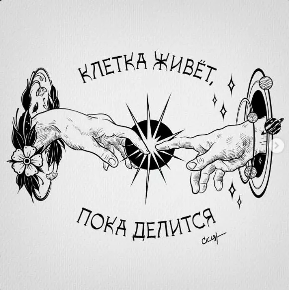 Лаконичная мудрость