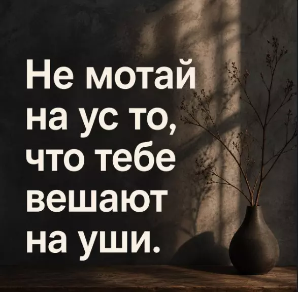 Лаконичная мудрость