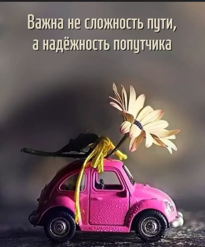 Лаконичная мудрость