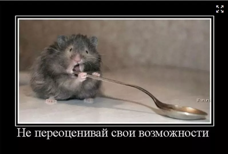 Лаконичная мудрость