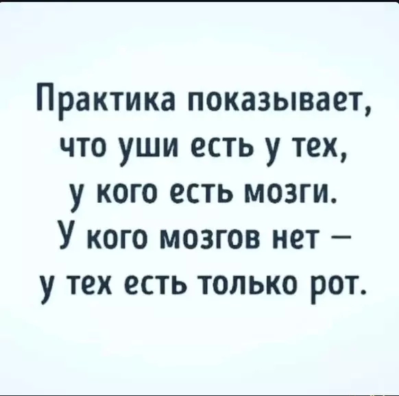 Лаконичная мудрость