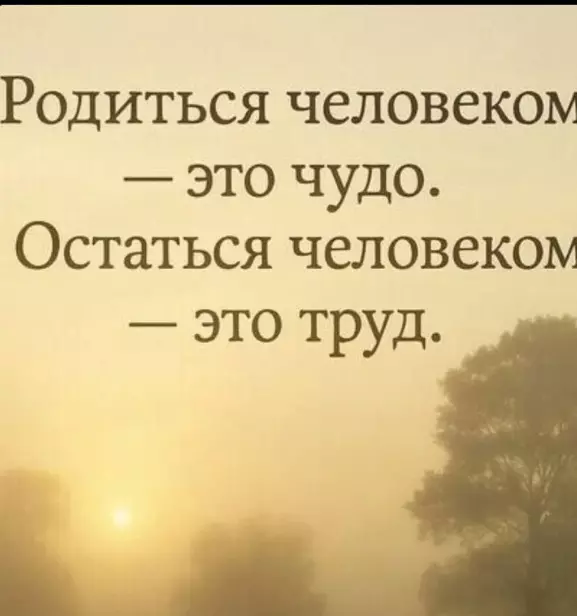 Лаконичная мудрость