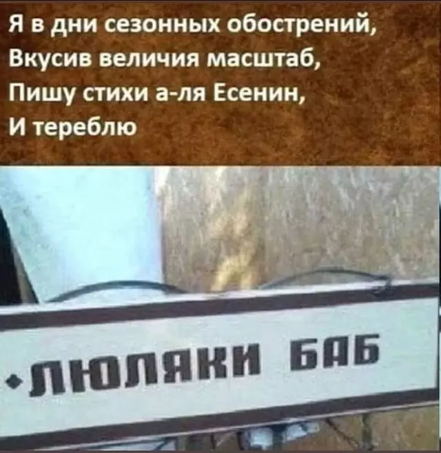 Всюду рифмы