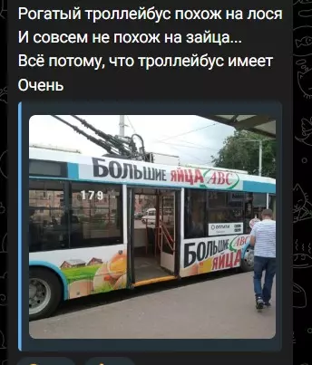 Всюду рифмы