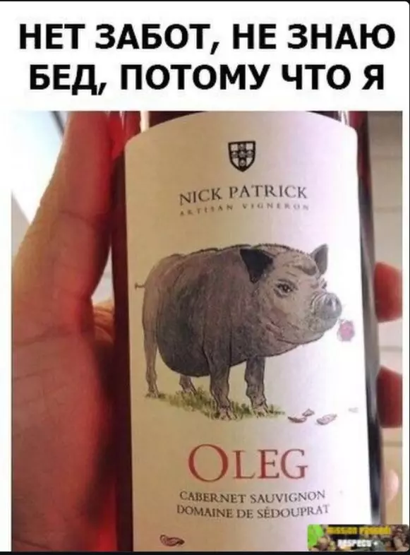 Всюду рифмы