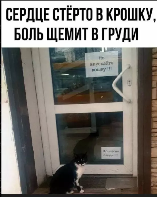 Всюду рифмы