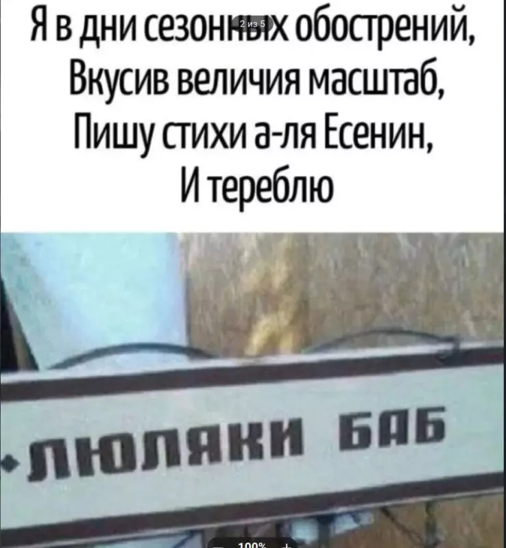 Всюду рифмы