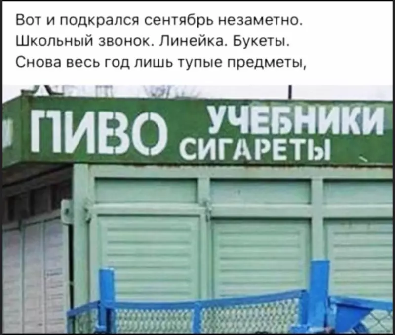 Всюду рифмы