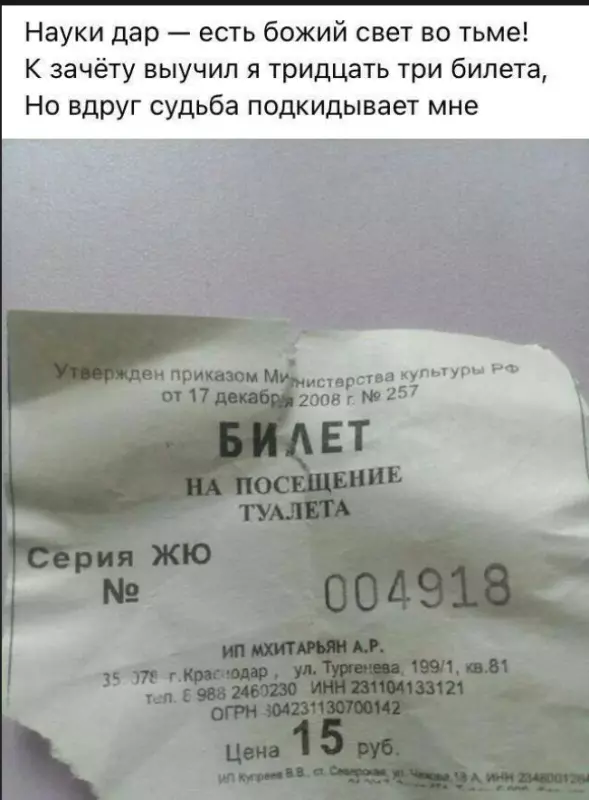Всюду рифмы