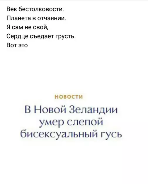 Всюду рифмы