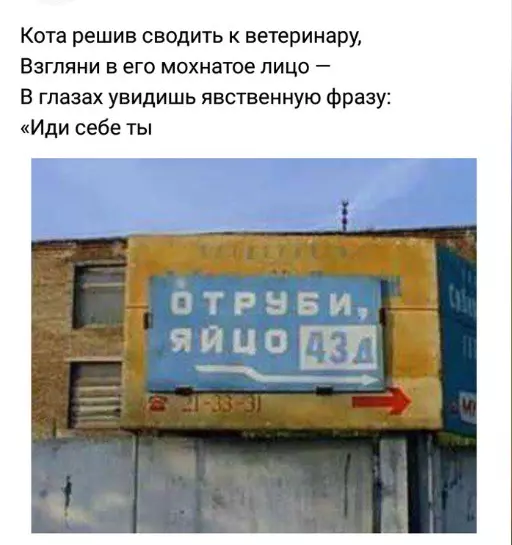 Всюду рифмы